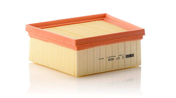 Mann Filter C 17 006